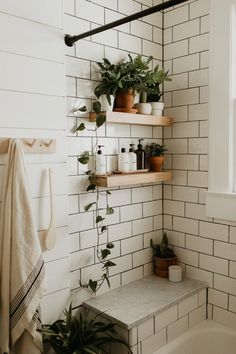 a white tiled bathroom with shelves and plants on the wall, along with a bathtub