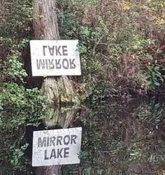 two signs that are on the side of a tree in the woods, one says mirror lake