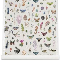 an image of a wall hanging with many different types of bugs and moths on it