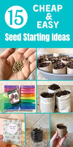 Various seed starting ideas, including newspaper pots and toilet paper tube pots. Seedlings Indoors Starting, Seed Starting Chart, Diy Seed Packets