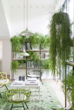 a living room filled with lots of plants and furniture