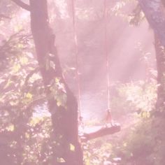 a woman sitting on a swing suspended over a river in the forest with sunlight streaming through the trees