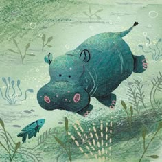 a drawing of a hippopotamus swimming in the water next to plants and fish