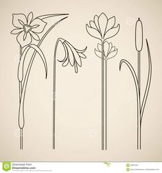 four different types of flowers on a white background stock photo - 549782