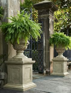 a large potted plant sitting on top of a pedestal