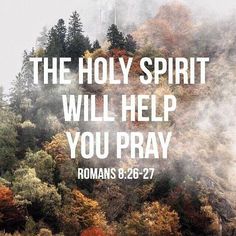 Romans 8 26, Scripture Bible, The Holy Spirit, Daily Bible