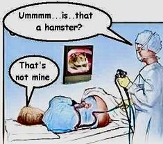 a cartoon depicting a cat being examined by a veterinator and the caption that reads, mmmm is that a hamster? that's not mine