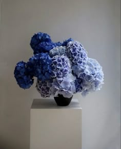 blue flowers in a black vase on a white pedestal