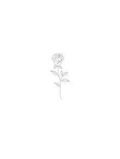 a drawing of a single rose on a white background