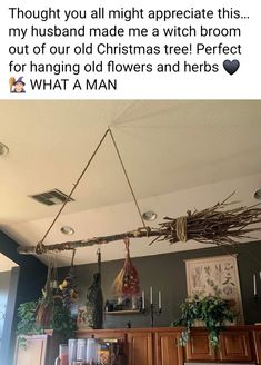 a tweep is hanging from the ceiling above a kitchen counter with flowers and herbs