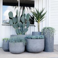 three cement planters sitting next to each other in front of a window with succulents