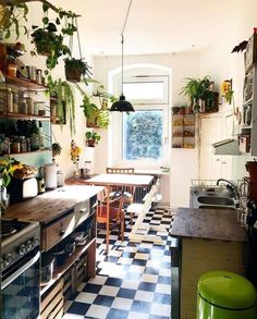 a kitchen filled with lots of plants and pots on the counter top next to an oven