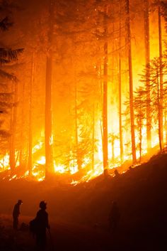 two people standing in front of a forest filled with fire