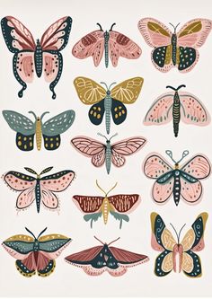 a bunch of different colored butterflies on a white background