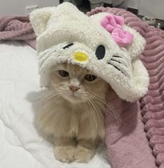 a cat wearing a hello kitty hat on top of a bed