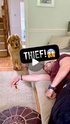 a man laying on top of a couch next to a dog