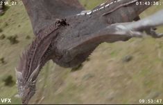 a close up of a dragon flying through the air