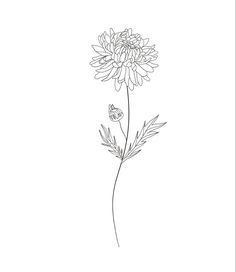 a black and white drawing of a flower