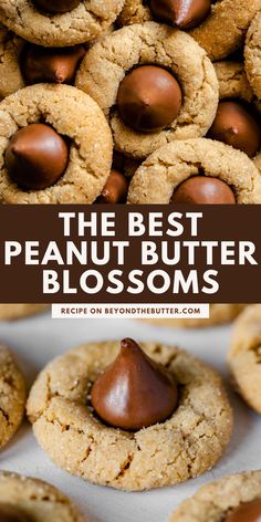 the best peanut butter blossom cookies recipe