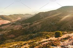 the sun shines on mountains and valleys in the desert, with green plants growing on them