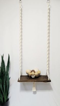 a wooden shelf with rope hanging from it next to a potted plant