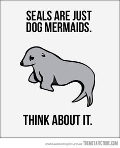 an elephant with the caption seal are just dog mermaids think about it,