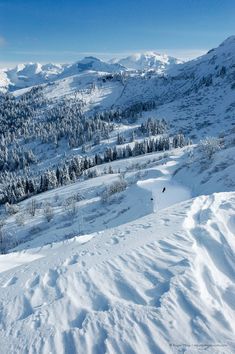 a person riding skis on top of a snow covered slope next to trees and mountains