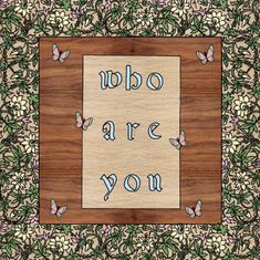 a wooden frame with the words who are you on it and butterflies around it in blue ink