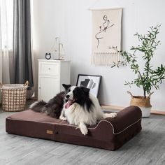 a black and white dog laying on top of a brown bed in a living room