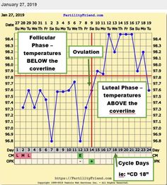 an image of a line graph with the time and temperature for different types of liquids