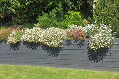 the flowers are growing on the side of the wall in front of the trees and bushes