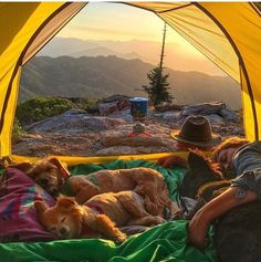 a man and two dogs laying in a tent on top of a mountain with the sun setting