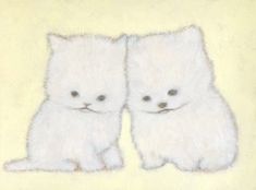 two small white dogs sitting next to each other