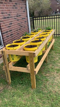 a row of yellow buckets filled with plants sitting on top of a grass covered field