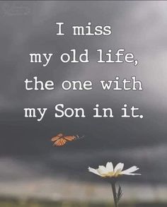 a white flower with a butterfly on it in front of a dark sky and the words i miss my old life, the one with my son in it