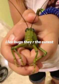 a person holding a grasshopper in their hand with the caption i luv bugs they're the cutest