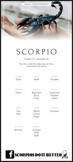 the scorpion zodiac sign for scorpio is shown in black and white, with an image of a hand holding a scorpion