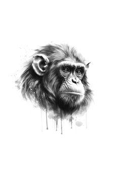 a black and white drawing of a monkey with dripping paint on it's face