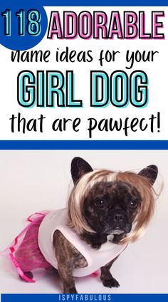 Looking for that super cute girl dog name for your adorable new furbaby? We got you with 118 sweet name ideas - plus tips on how to pick one! #dognames #dogs #puppy #newpuppy