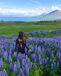 a woman standing in a field of purple flowers with mountains in the background and blue sky