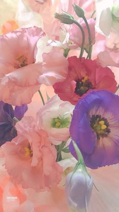 an arrangement of pink, purple and white flowers