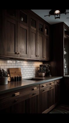 a kitchen with dark wood cabinets and white subway tile backsplash, potted plants on the counter