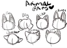 some animal ears drawn in different ways