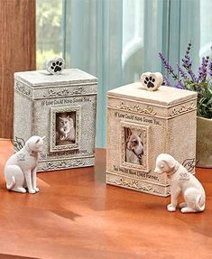 two white dogs sitting on top of a wooden table next to a box and potted plant