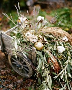 an old wooden wheelbarrow filled with flowers and herbs