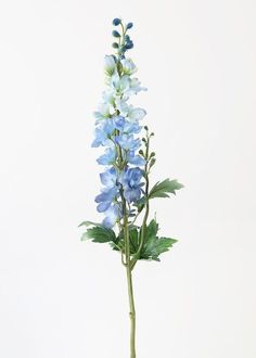 blue flowers are in a vase on a table