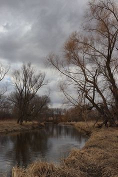 a small river running through a dry grass covered field next to tall trees and dead grass