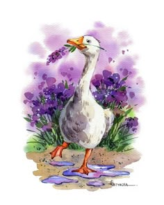 a watercolor painting of a goose standing in front of purple flowers