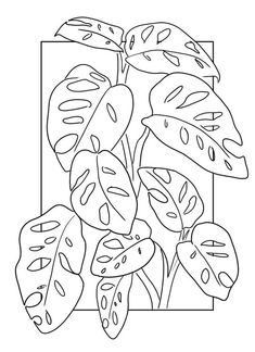 a black and white drawing of a plant with leaves