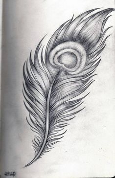 a black and white photo of a feather